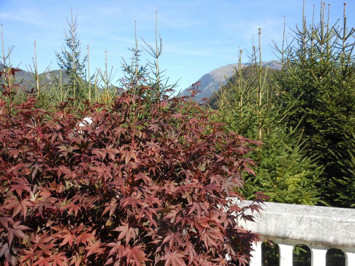 Villa Romy Bad Ischl Esterno foto